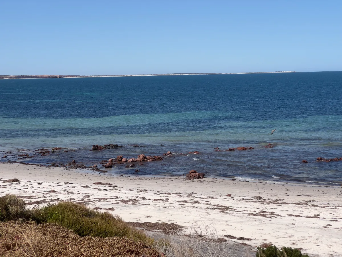 The rocky shoreline of Point Gibbon meets the calm ocean. A perfect spot for contemplation... or a nap!