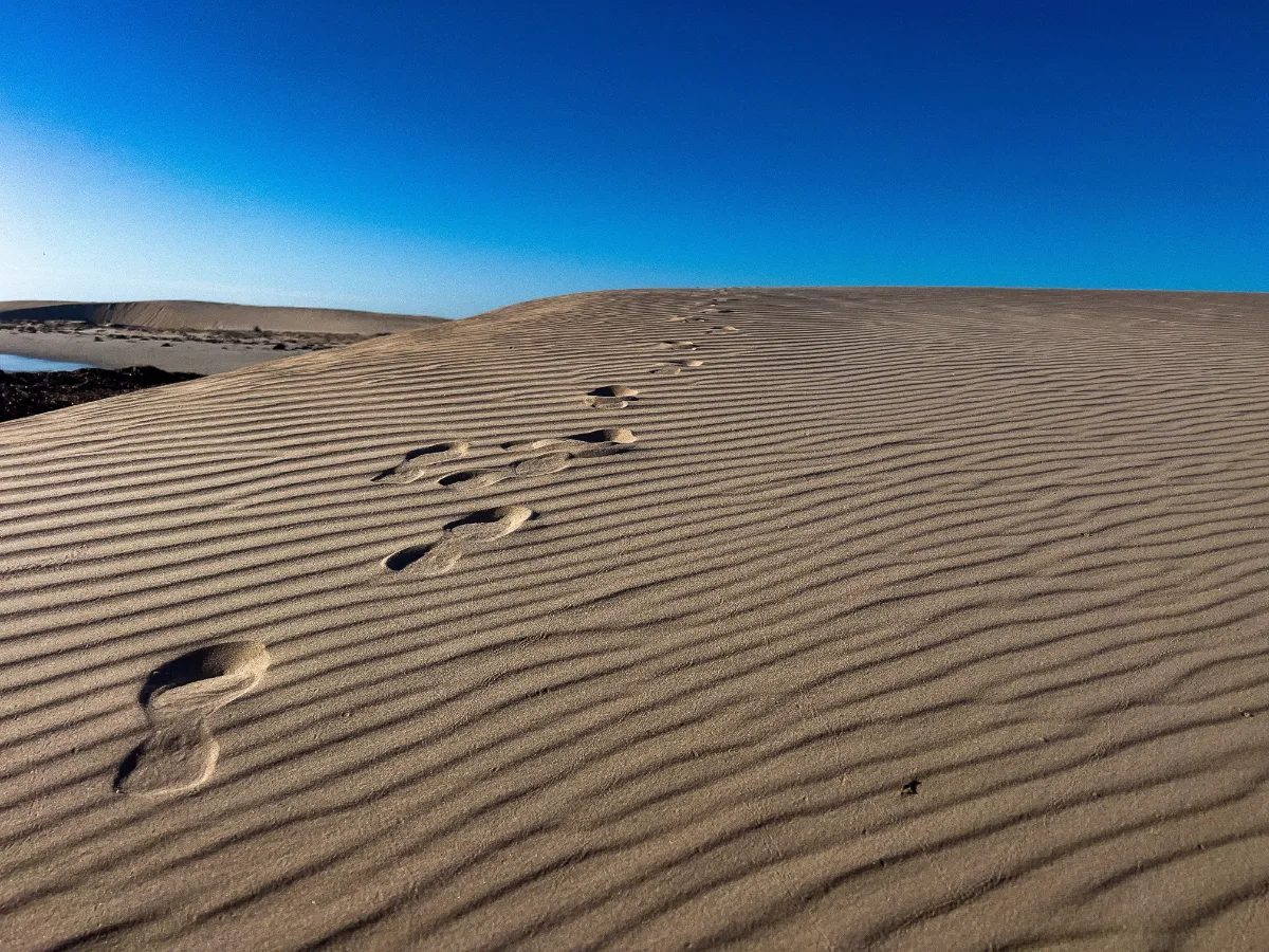 Footprints trace a lonely path across the rippled sands of Point Gibbon's dunes, a testament to the solitude of its shores.