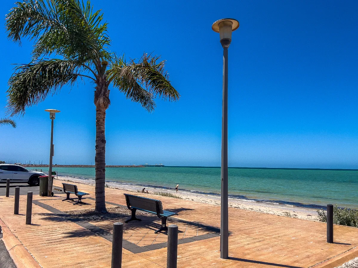Benches and palm trees line the foreshore at the Whyalla Jetty, making for a pleasant place to relax and take in the view.