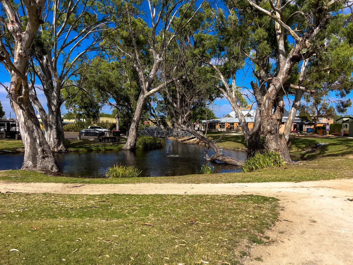 The calm waters of the Bordertown watercourse, reflecting the surrounding eucalyptus trees.