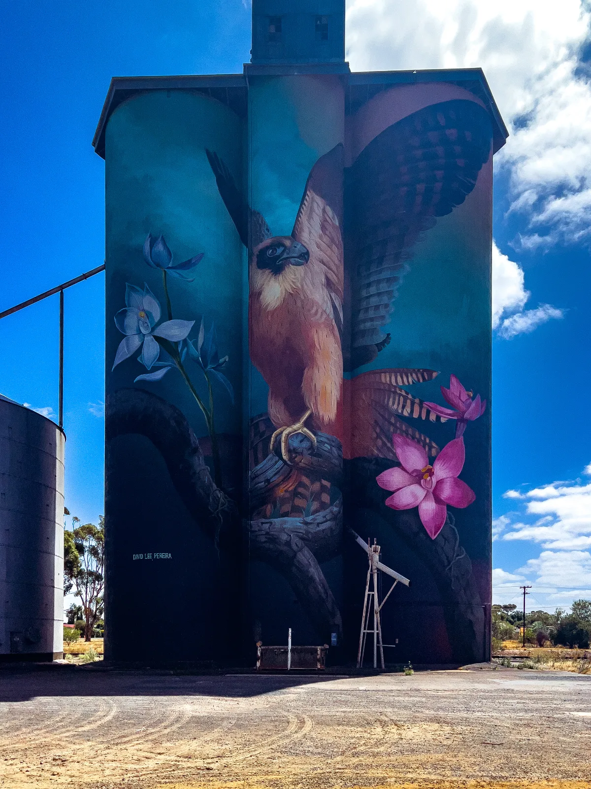A magnificent osprey mural adorns the GrainCorp silos in Kaniva, a testament to David Lee Pereira's artistry.