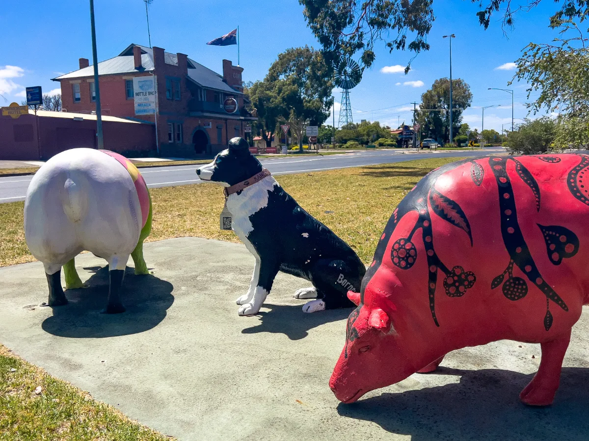 A sheepdog statue joins the painted sheep, adding to the charm of Kaniva's artistic display.