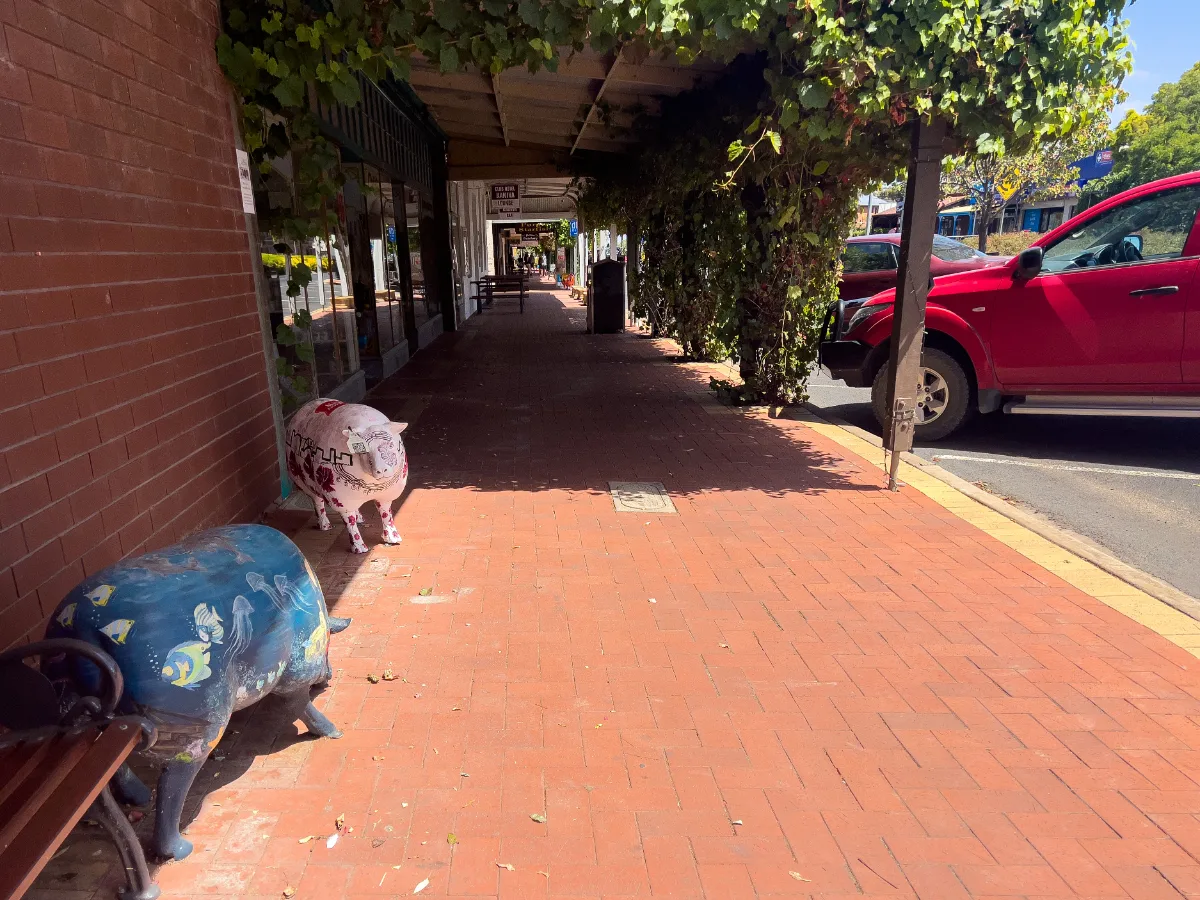More vibrantly decorated sheep statues dot the pavements of Kaniva.