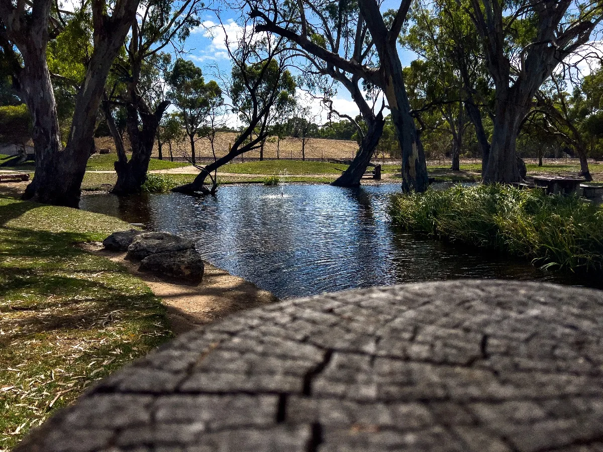 Shady trees and manicured lawns make for a pleasant spot to relax by the water in Bordertown.