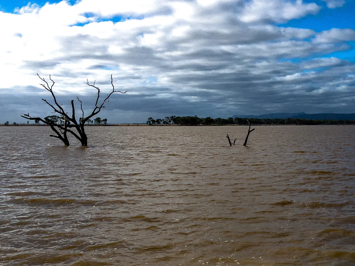 The water levels at Taylors Lake were quite high during our visit, leaving only the barest branches visible.