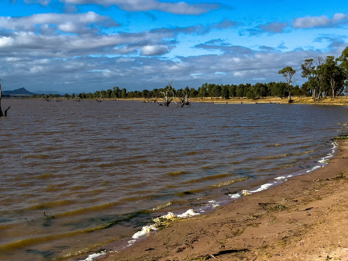 A panoramic view of Taylors Lake, showing the high water mark against the tree line.