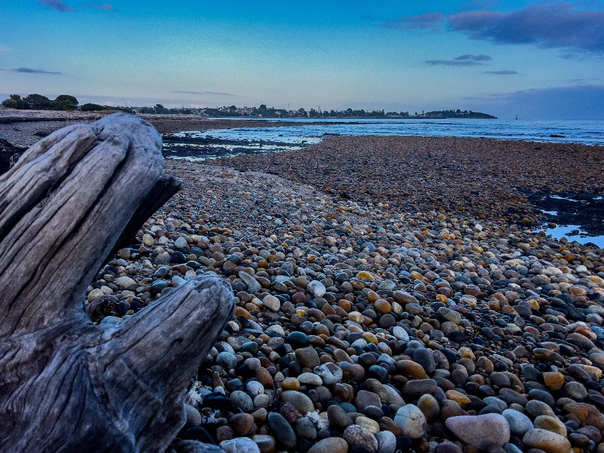 A weathered log rests on the stone beach, a natural sculpture crafted by the elements.