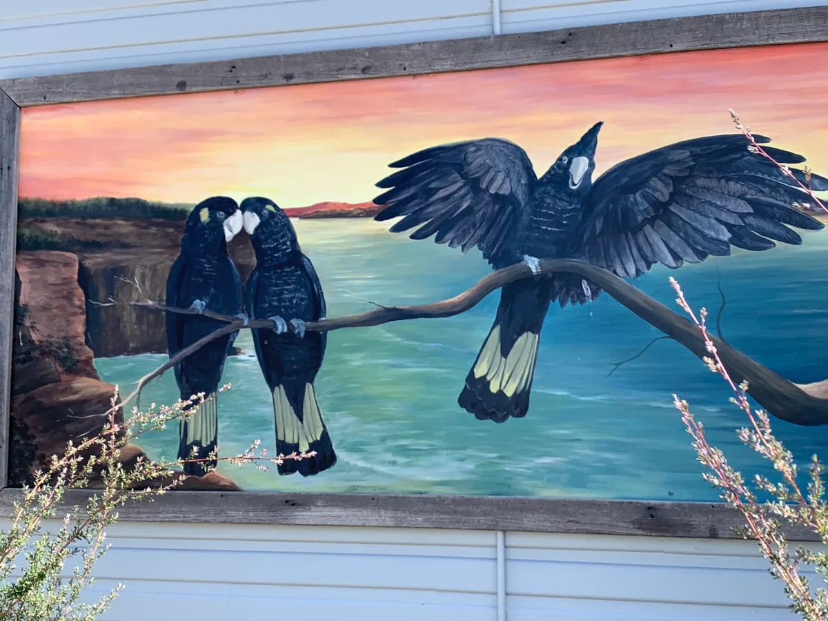 Native black cockatoos are immortalized in vibrant colors on a building facade.