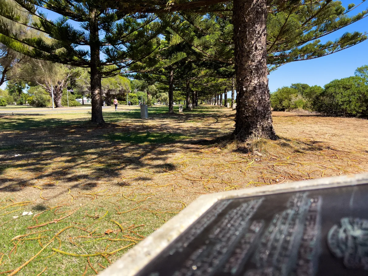 The Vietnam Veterans Memorial Avenue, a peaceful walkway dedicated to remembrance.
