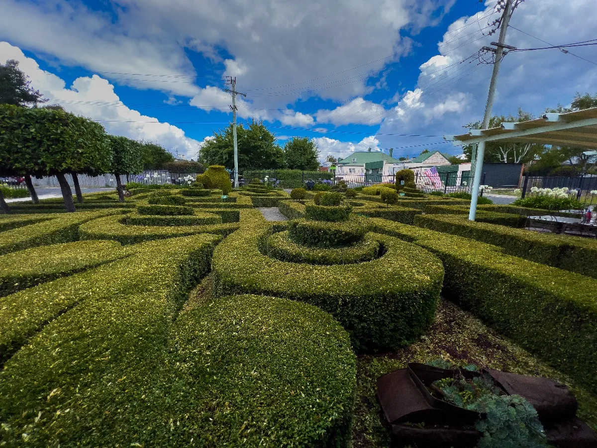The intricate box hedge maze that creates a grand entrance to the diner.