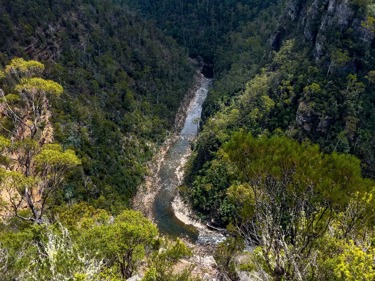 Looking directly down into the gorge where the river winds through the forest.