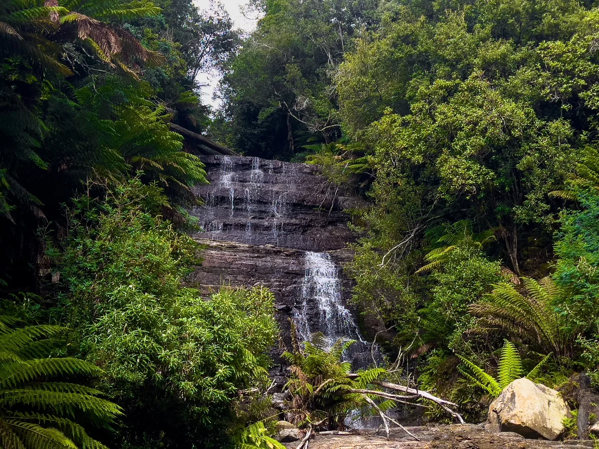 The multi-tiered Westmorland Falls cascading over dark rock ledges, framed by thick forest vegetation.