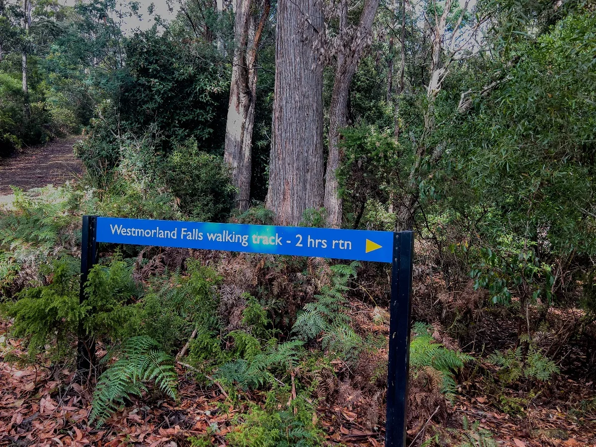 The blue sign at the start of the Westmorland Falls walking track, indicating a two-hour return trip through the forest.