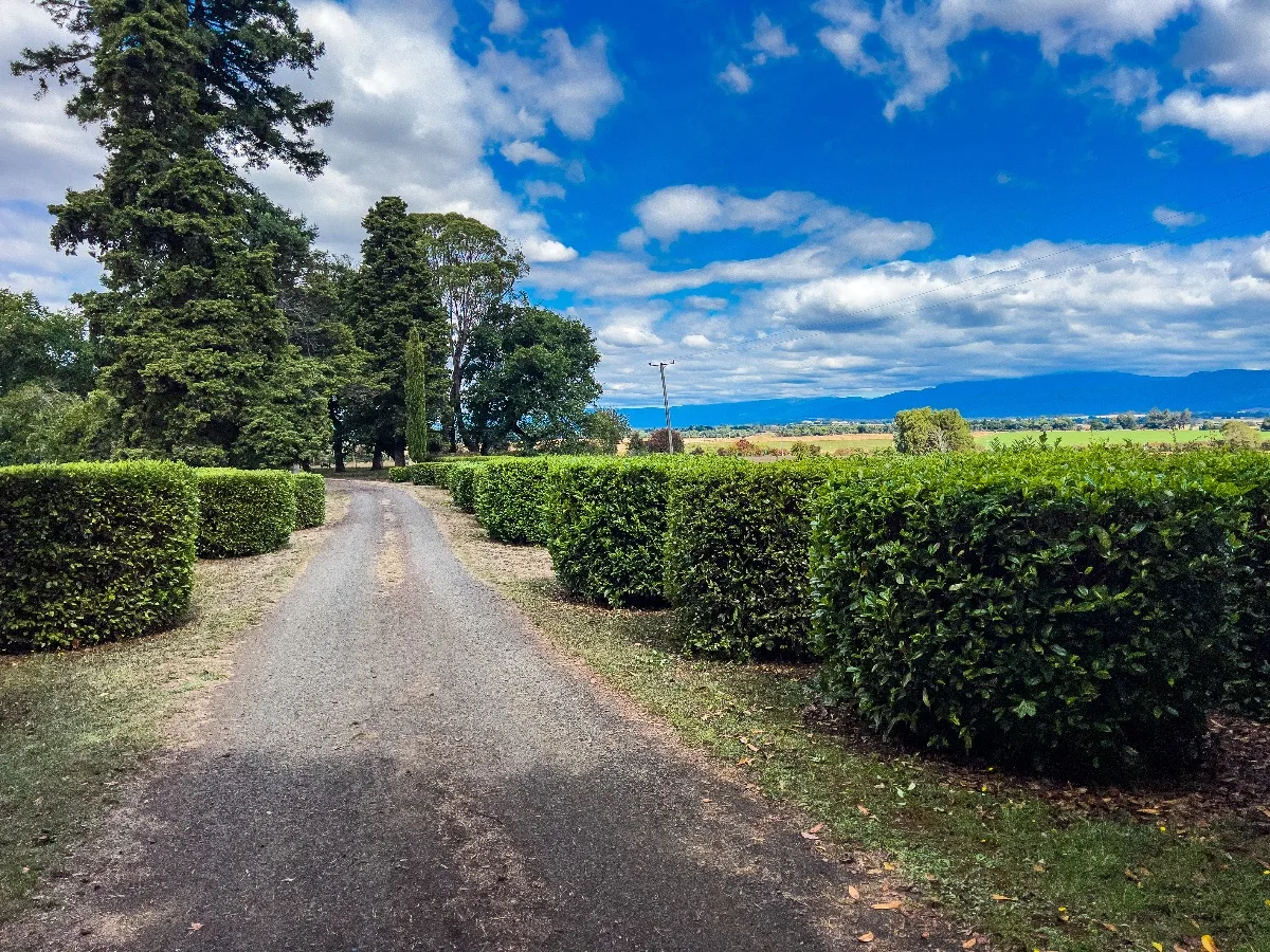 A neatly groomed gravel driveway lined with square-cut hedges looks out toward the Great Western Tiers under a clear sky.