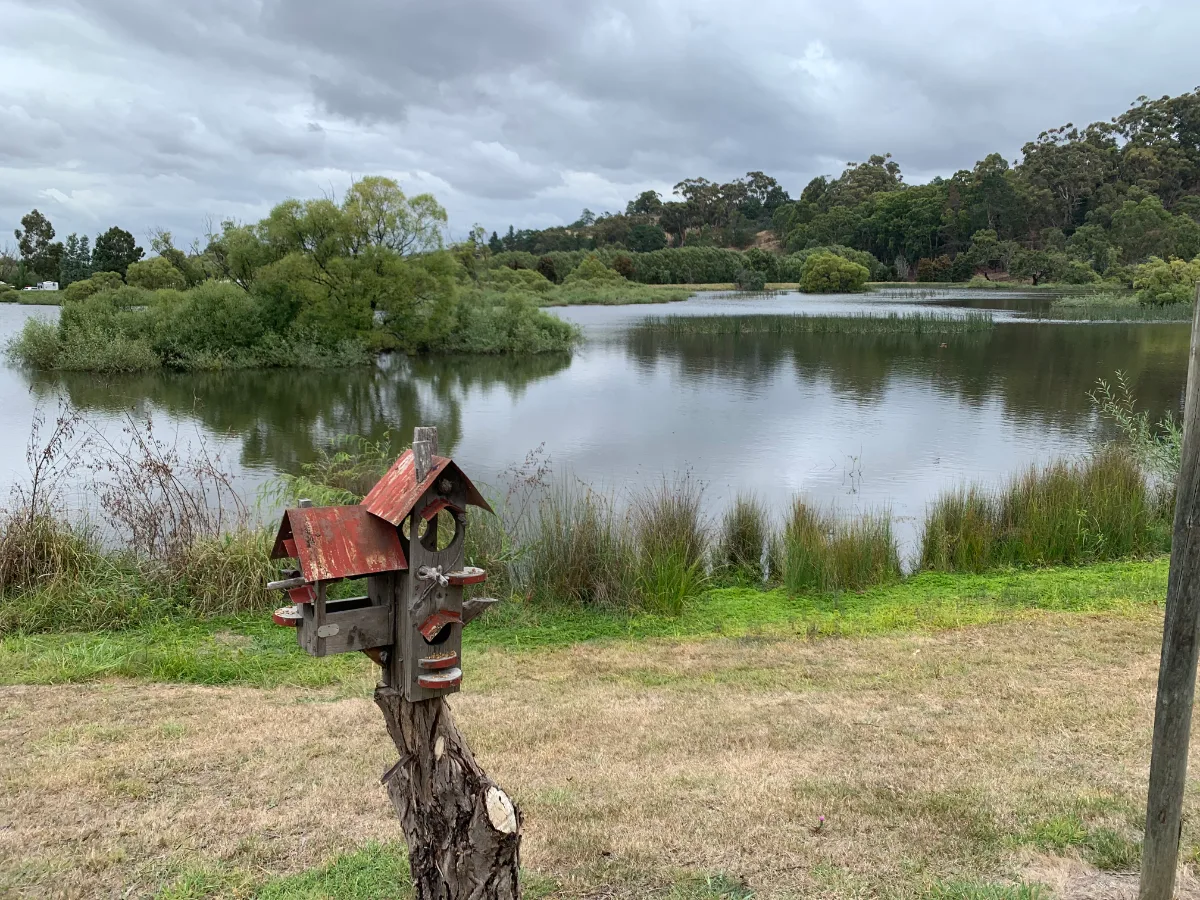A very creative little birdhouse overlooking the peaceful lake at our farm stay.
