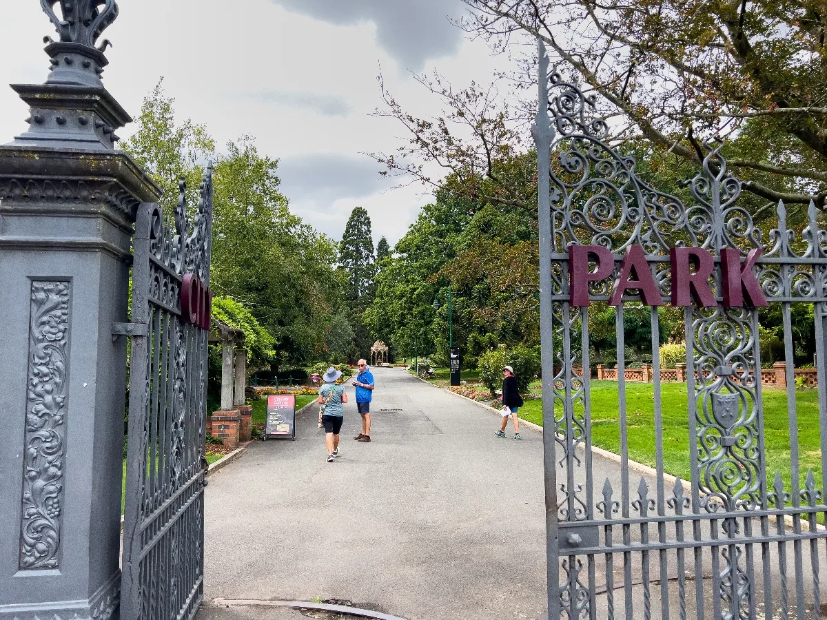 Walking through the main gates of City Park, which felt like entering a secret garden.