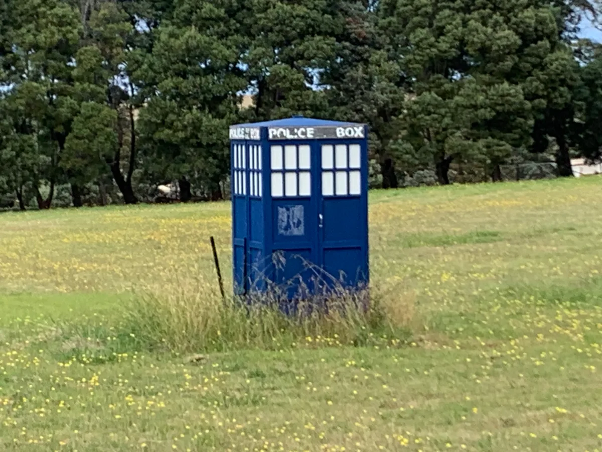 A bit of a surprise in the paddock—the TARDIS has landed right here in Norwood!