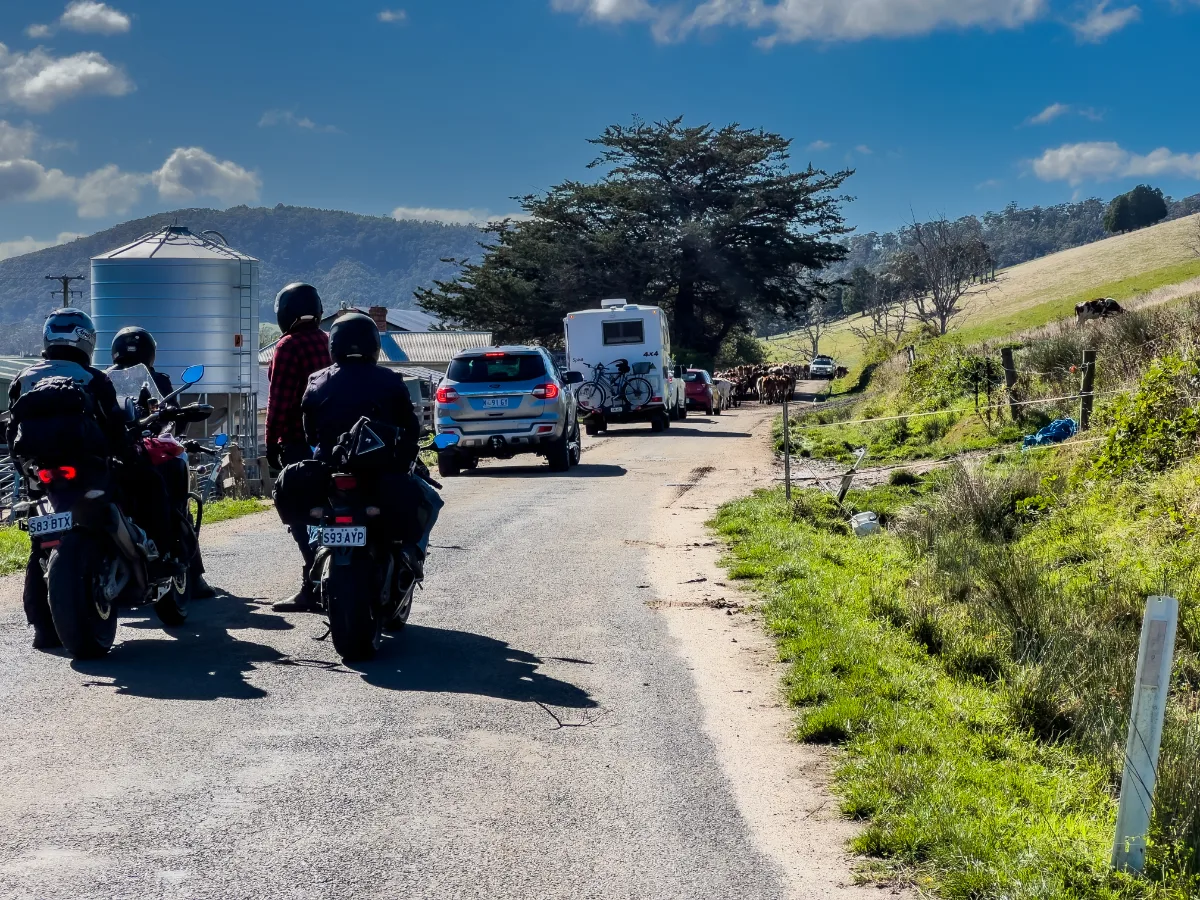 Pyengana peak hour—a few motorbikes and a bit of a wait by the silo.
