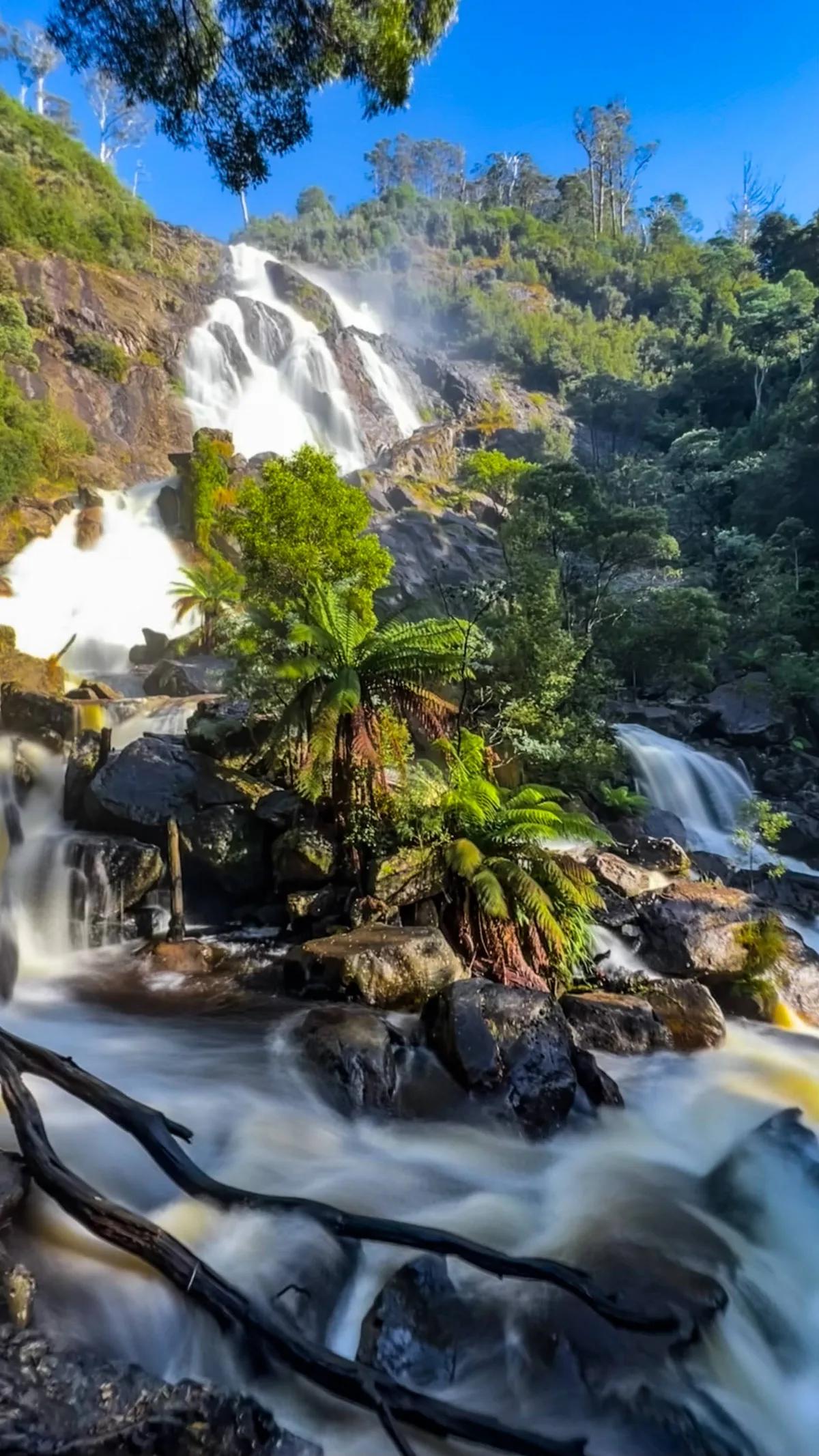 The thundering St Columba Falls, a massive 90-metre drop that you can feel right in your chest when you stand at the base.
