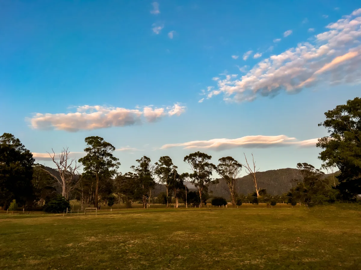 The beautiful, clear morning in Pyengana just before we packed up to leave the hills behind.