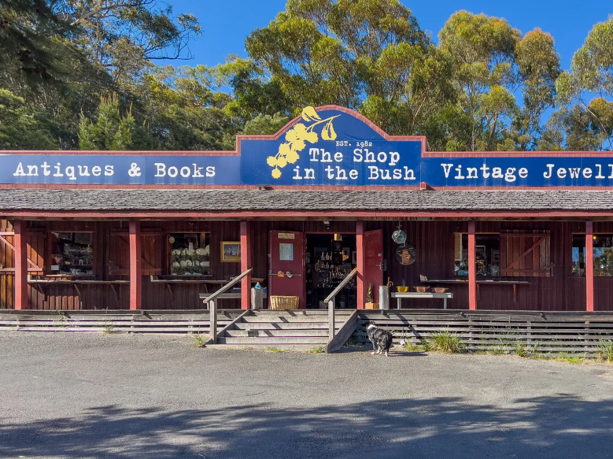 Stopping at The Shop in the Bush; a wonderful little find on the road toward St Helens.