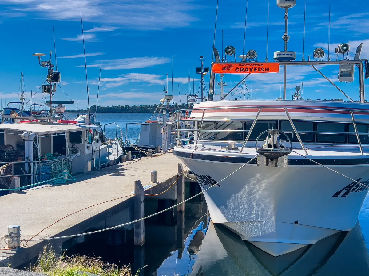 The very boat at the wharf where we bought our fresh southern rock lobster.
