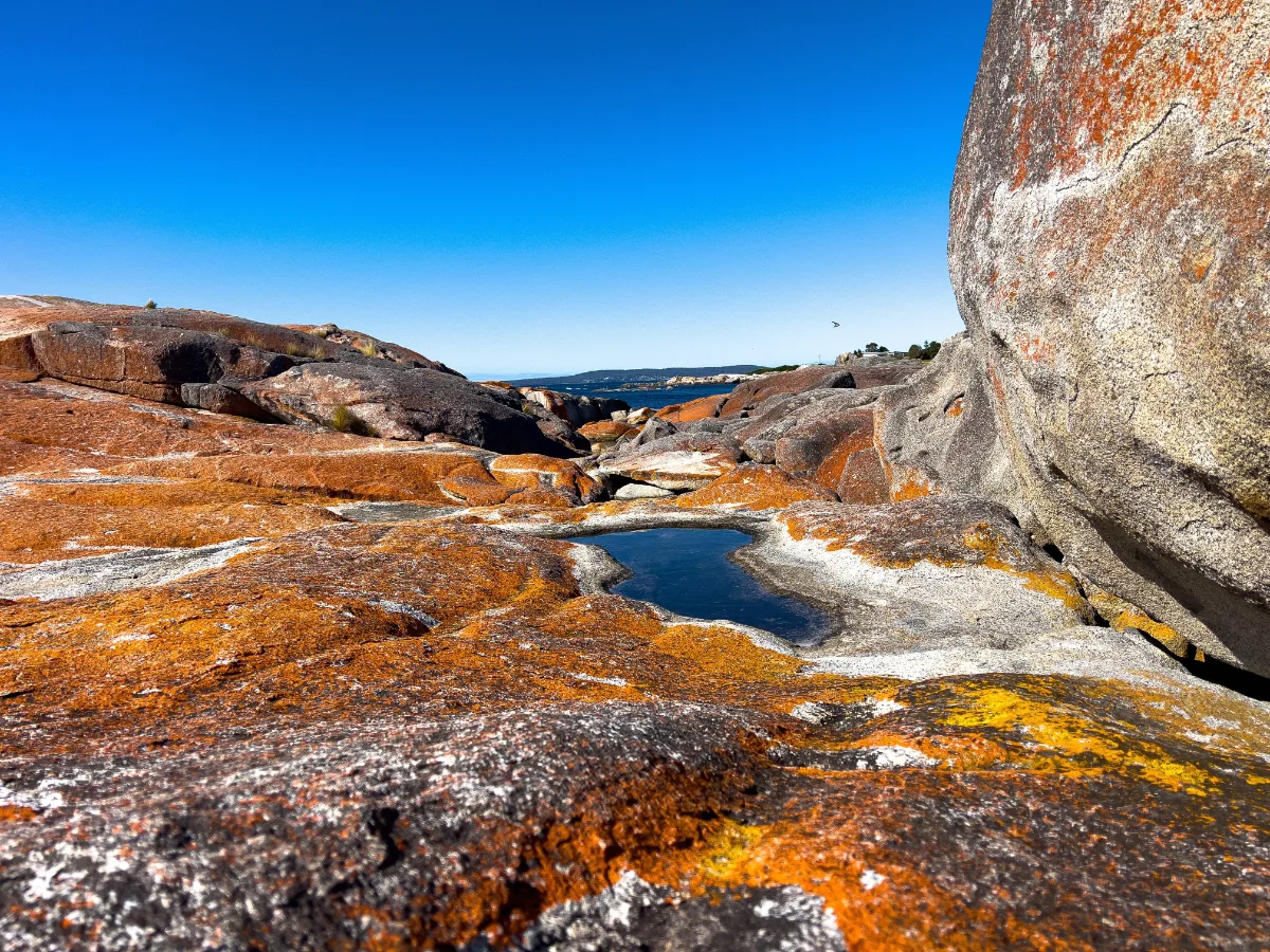 A still rock pool nestled within the vibrant, orange lichen-covered granite at The Gardens.