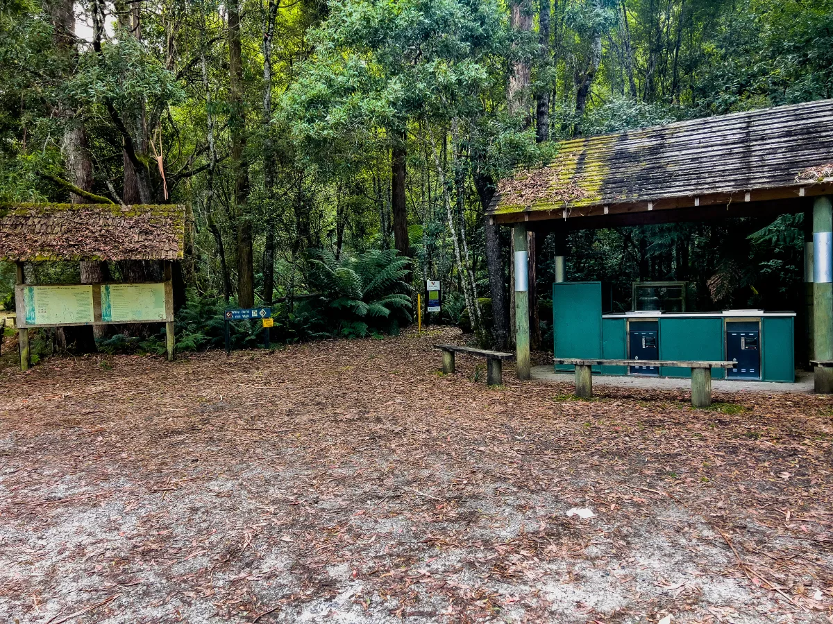 The quiet little picnic area and trailhead where our forest adventure began.