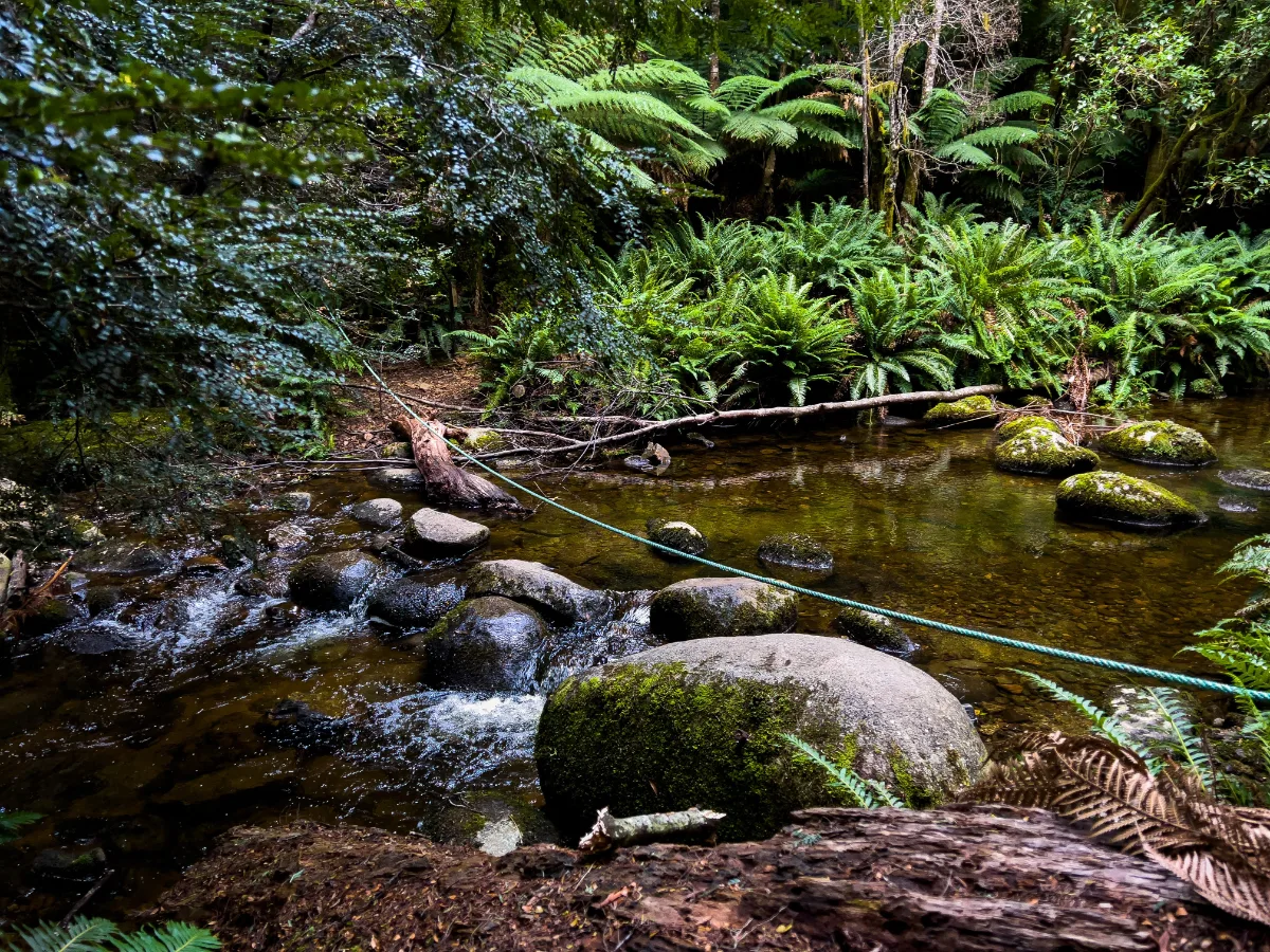 Steve and Lisa testing our balance on the stepping stones across the creek.