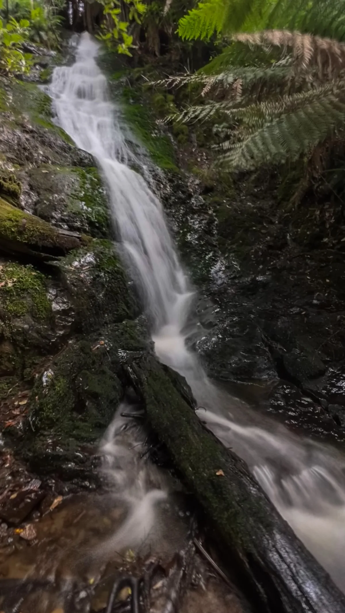 A long, graceful cascade of water tumbling over the dark rocks.