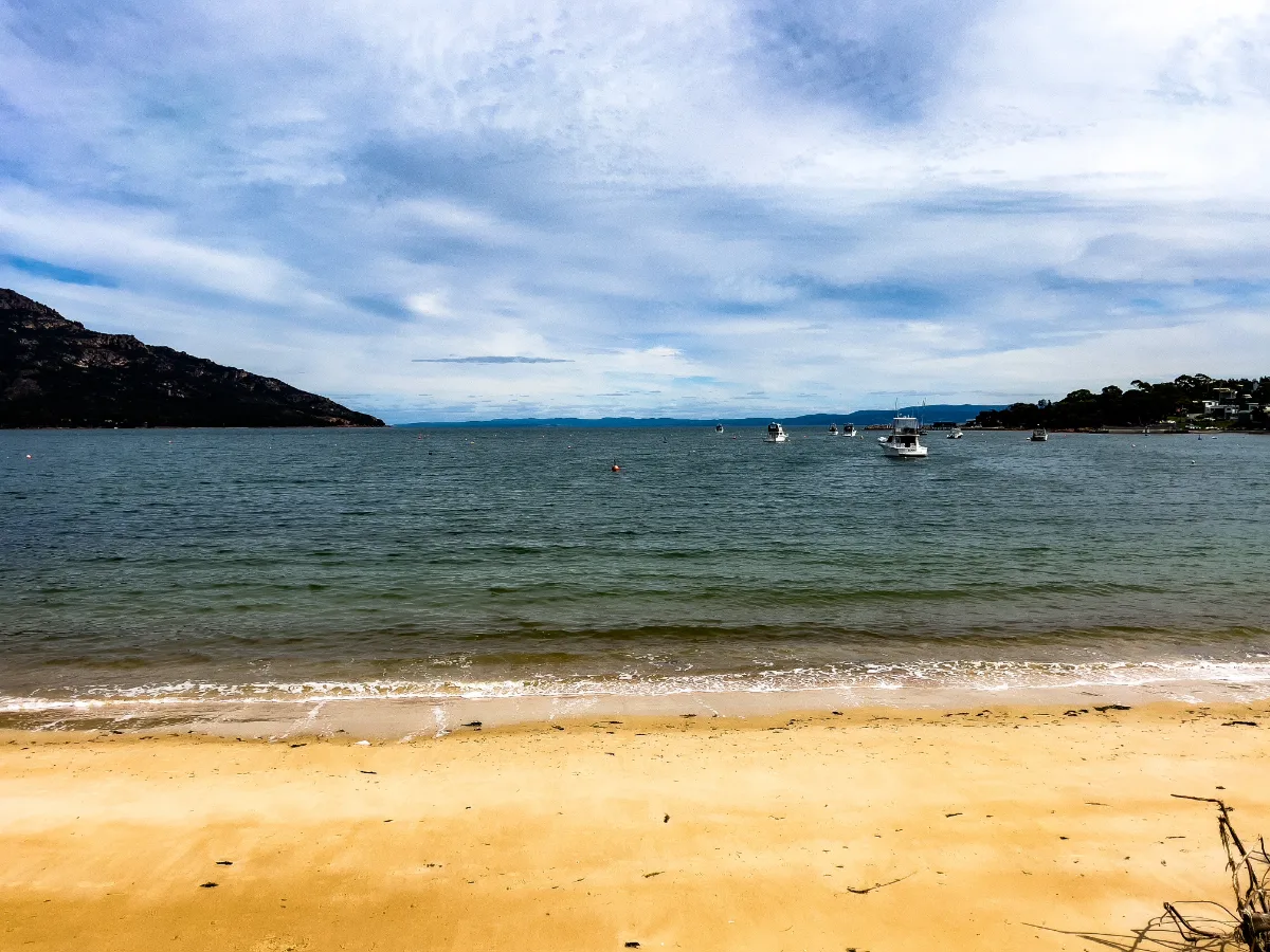 A quiet moment looking out over the water as boats rest at anchor in the bay.