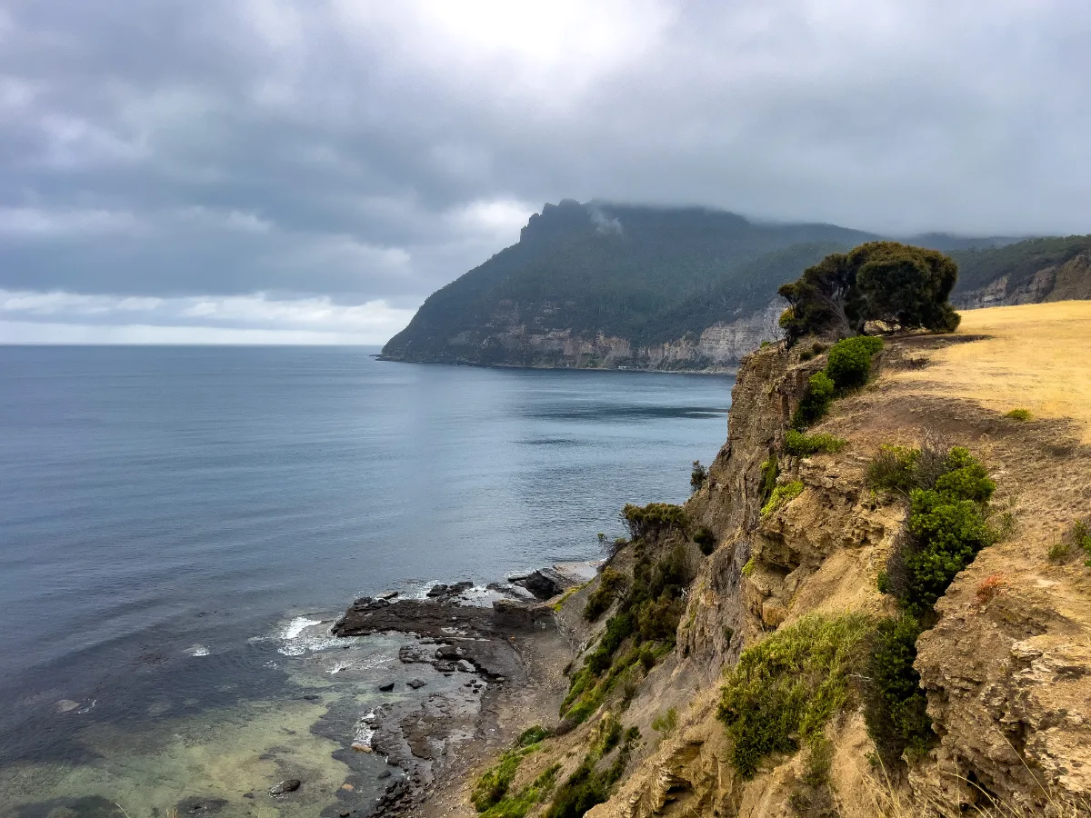 Looking out from the Fossil Cliffs, where you can see the ancient history of the ocean etched right into the stone.