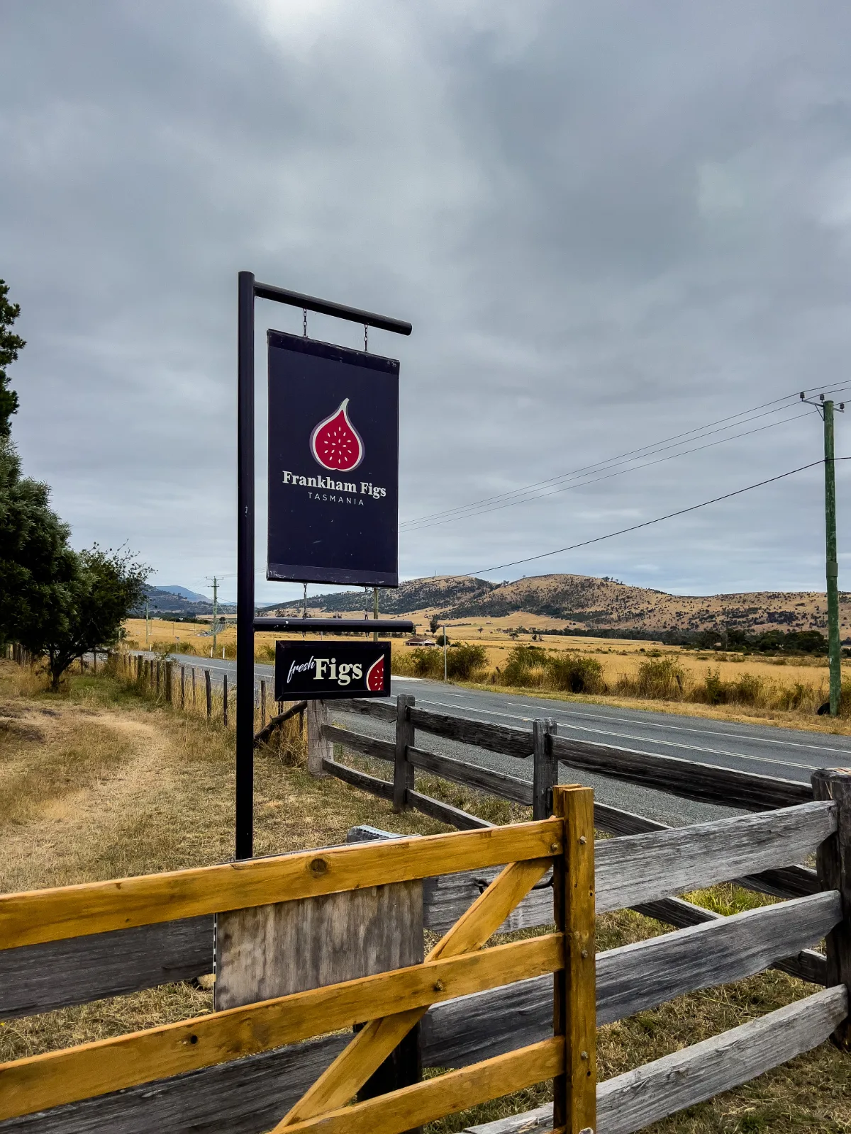 The roadside sign for Frankham Figs, a must-stop for Lisa.