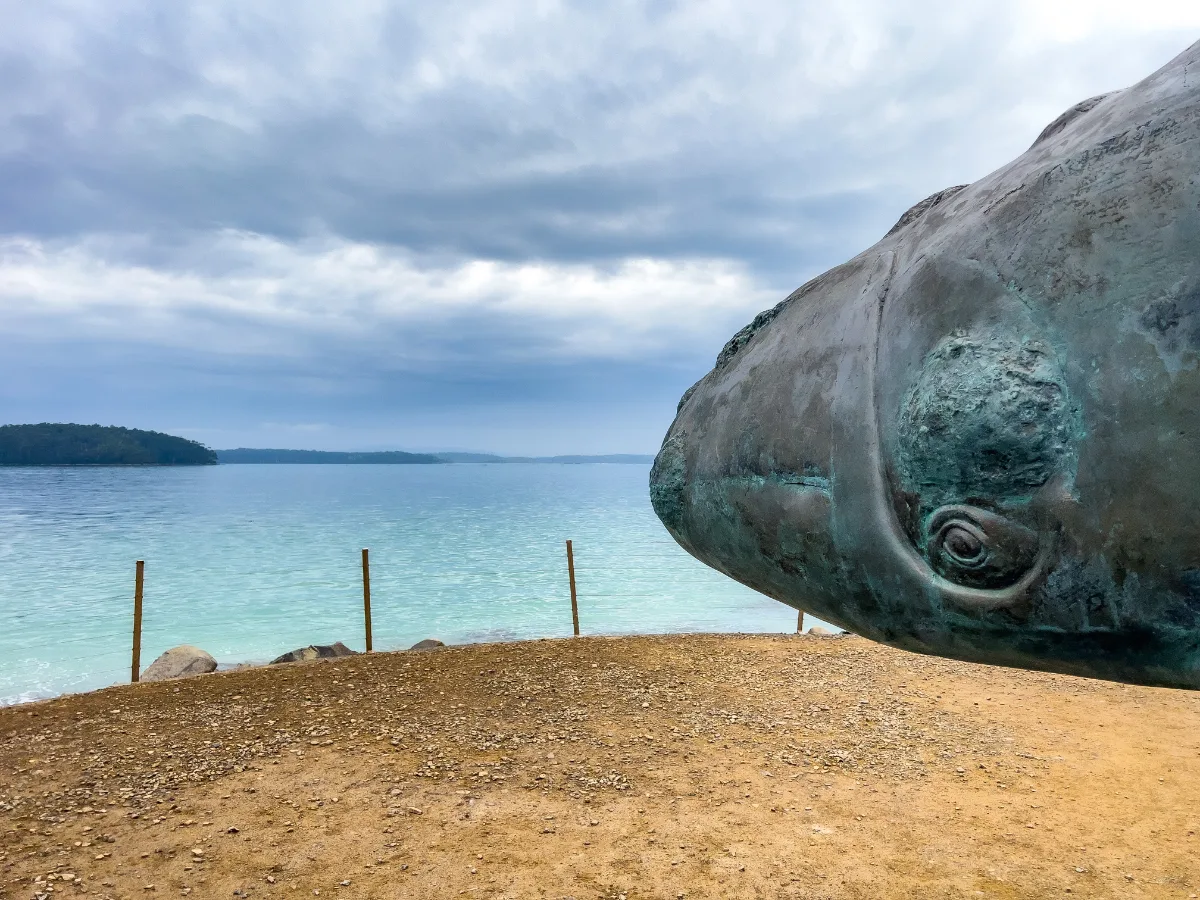 The whale sculpture at Cockle Creek keeping watch over those stunningly clear southern waters.