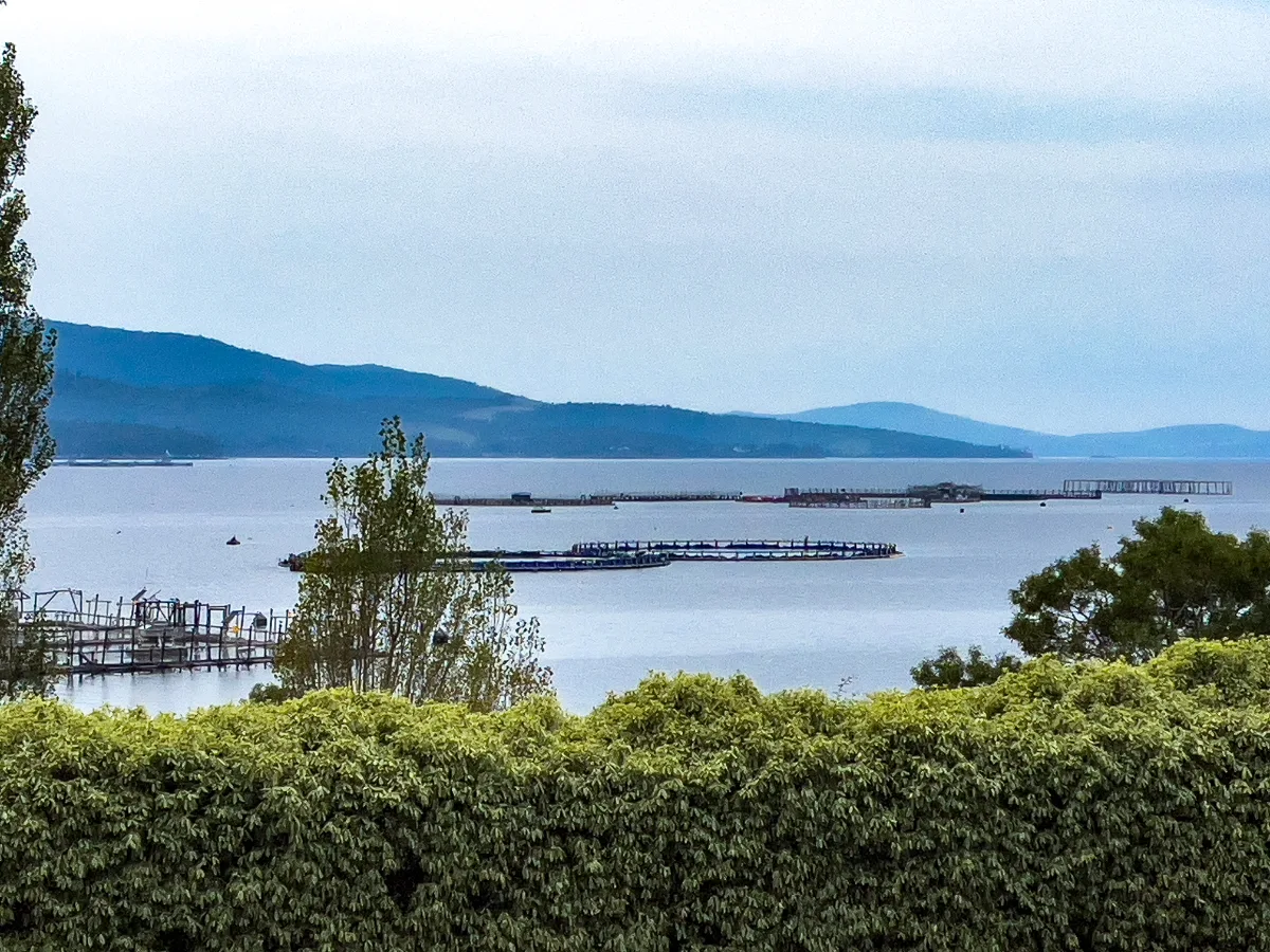 The salmon pens sitting out in the middle of Surveyors Bay, with the hazy blue mountains in the distance.