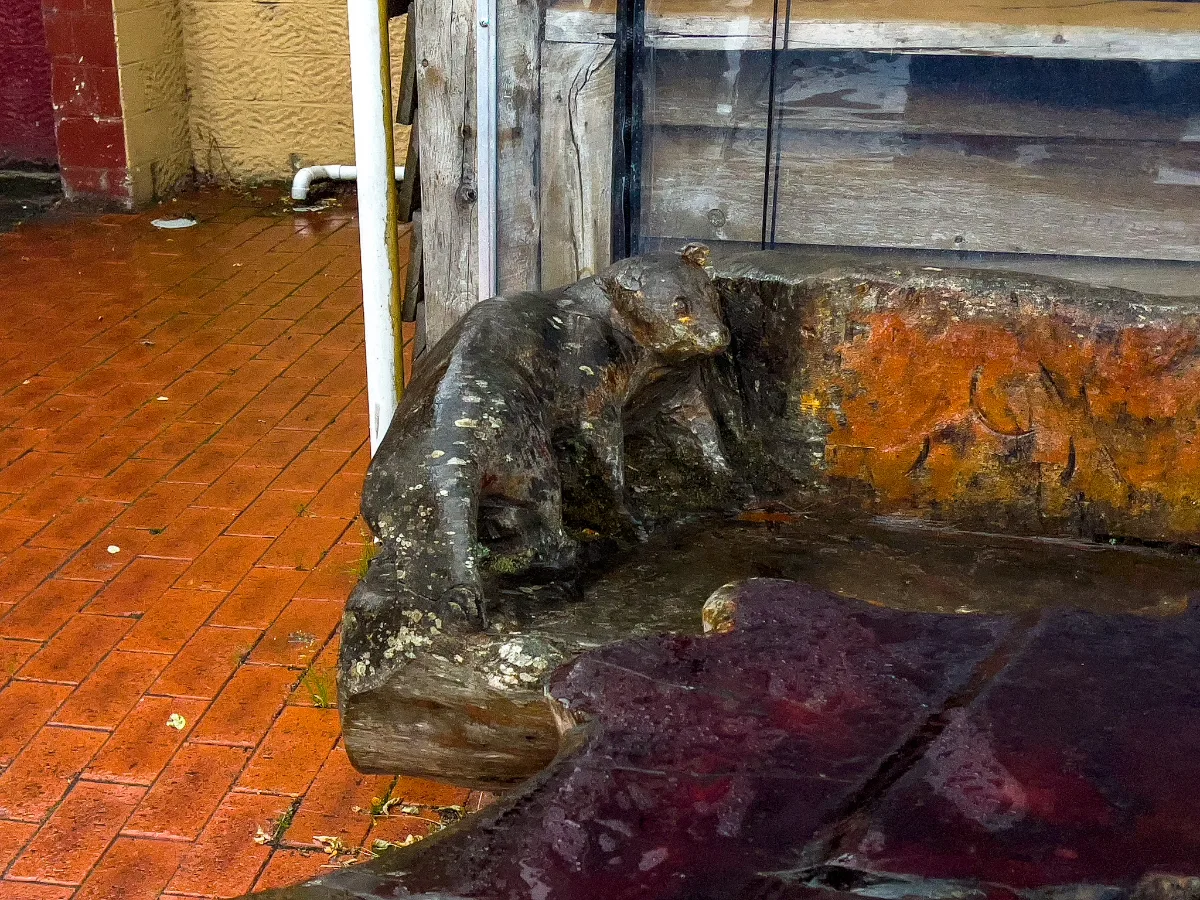 A sneaky little Tasmanian Devil carved from wood, hiding out near a doorstep.