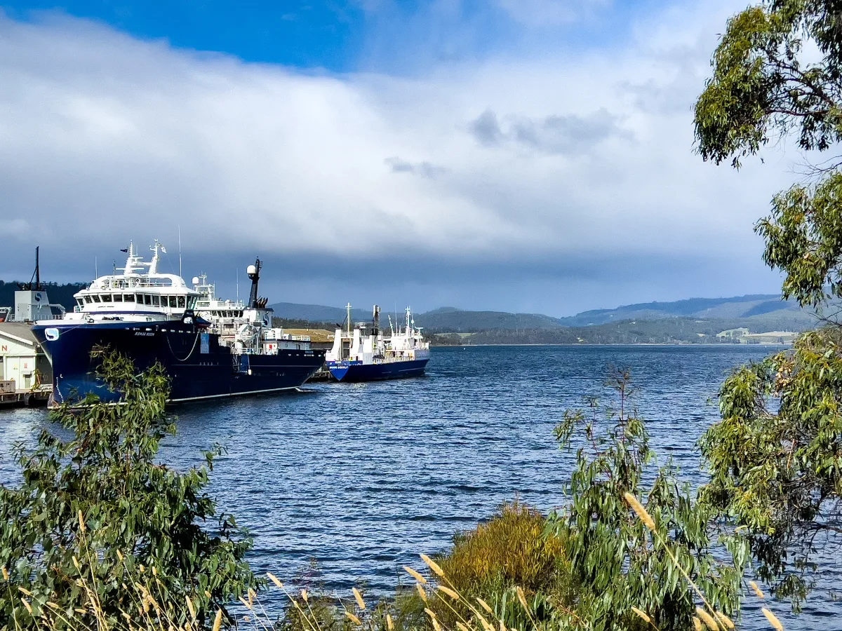 These impressive ships at Port Huon looked magnificent against the backdrop of the hills and the gum trees.