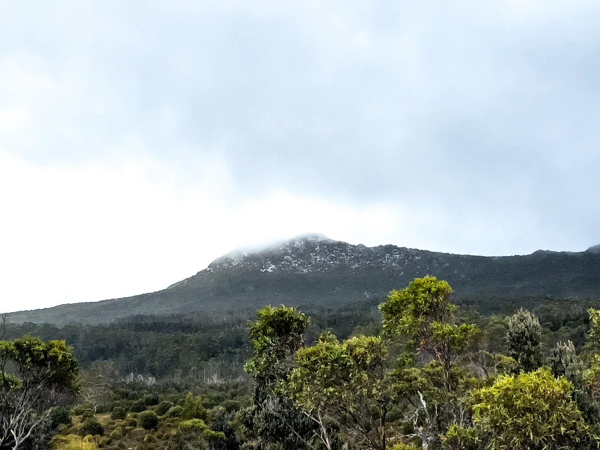 The misty peak of Hartz Mountain playing hide and seek with the clouds.
