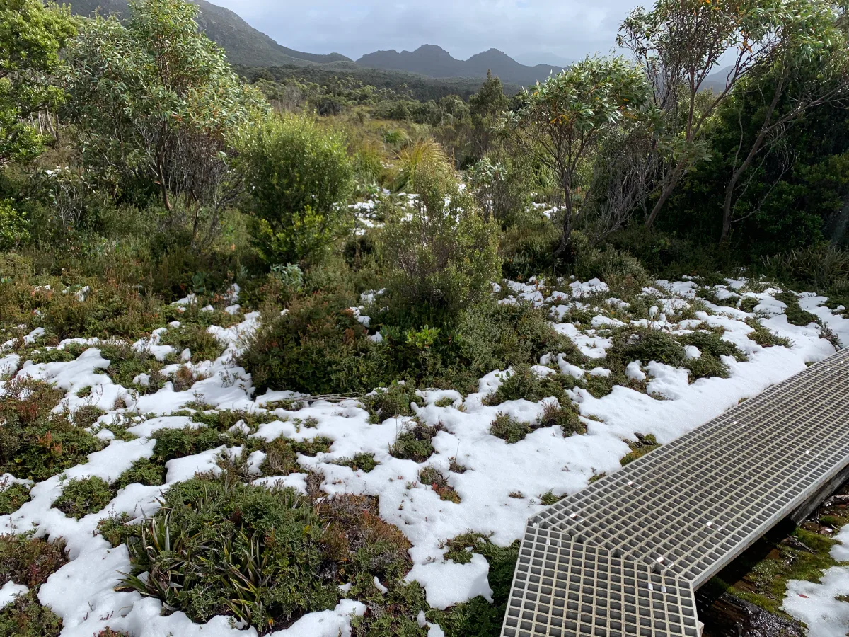Snow on the boardwalks made for a very different kind of morning walk than we’re used to back home.