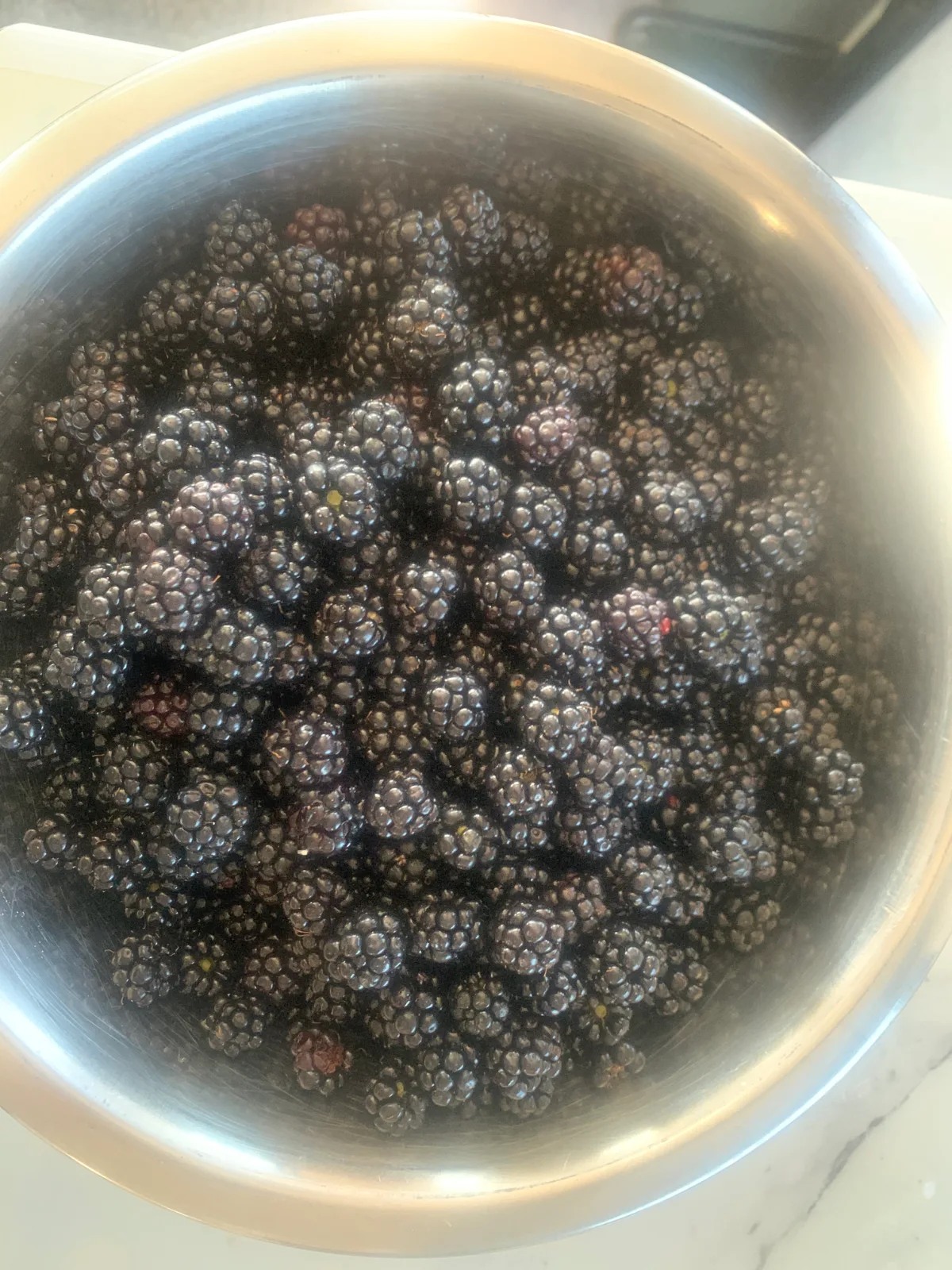 A bowl full of the fresh, dark blackberries we gathered from the bushes along the lake’s edge.