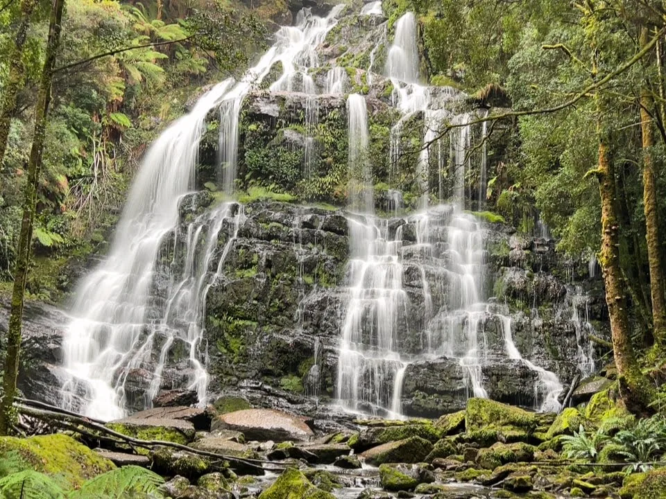 Nelson Falls in full flight after the rain—it’s a powerful sight hidden right in the middle of the forest.