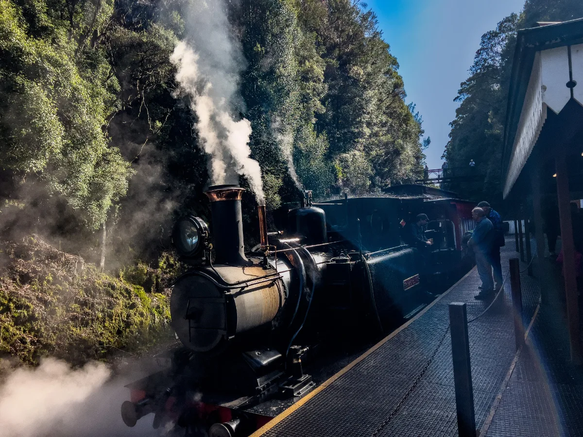 The powerful black locomotive resting at the platform, surrounded by the lush, deep greens of the Tasmanian wilderness.