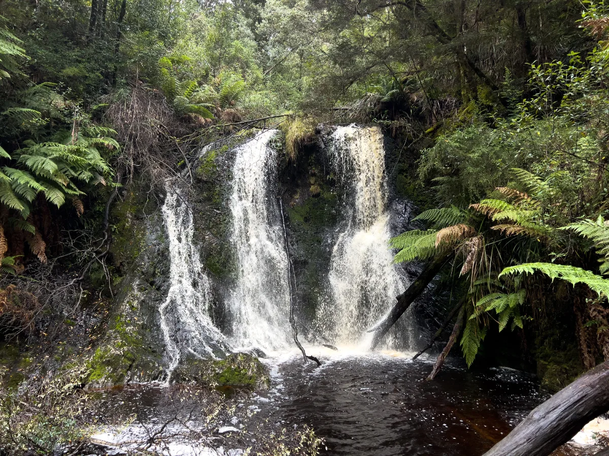 Hogarth Falls putting on a show with its double stream of water falling into the dark pool.