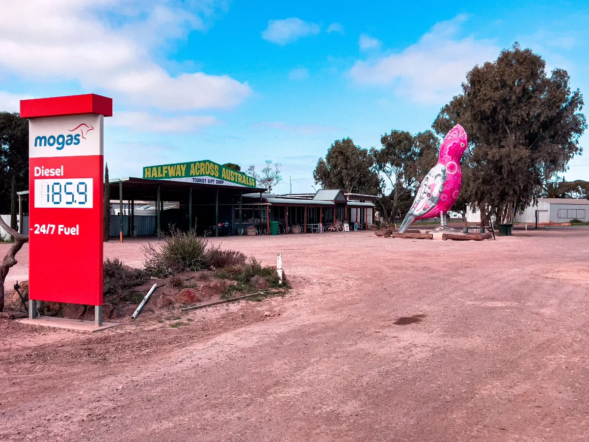 Kimba's giant galah: a roadside icon that demands a photo.
