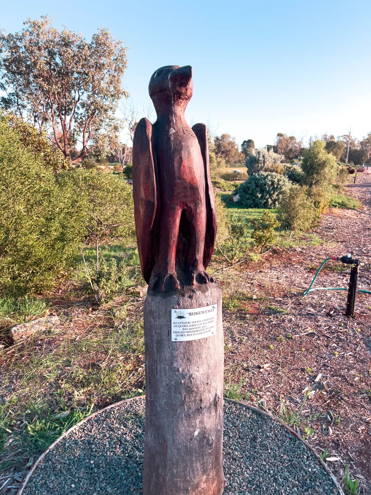 A striking redgum eagle sculpture stands proudly along the Quorn Bush Food Walking Trail.