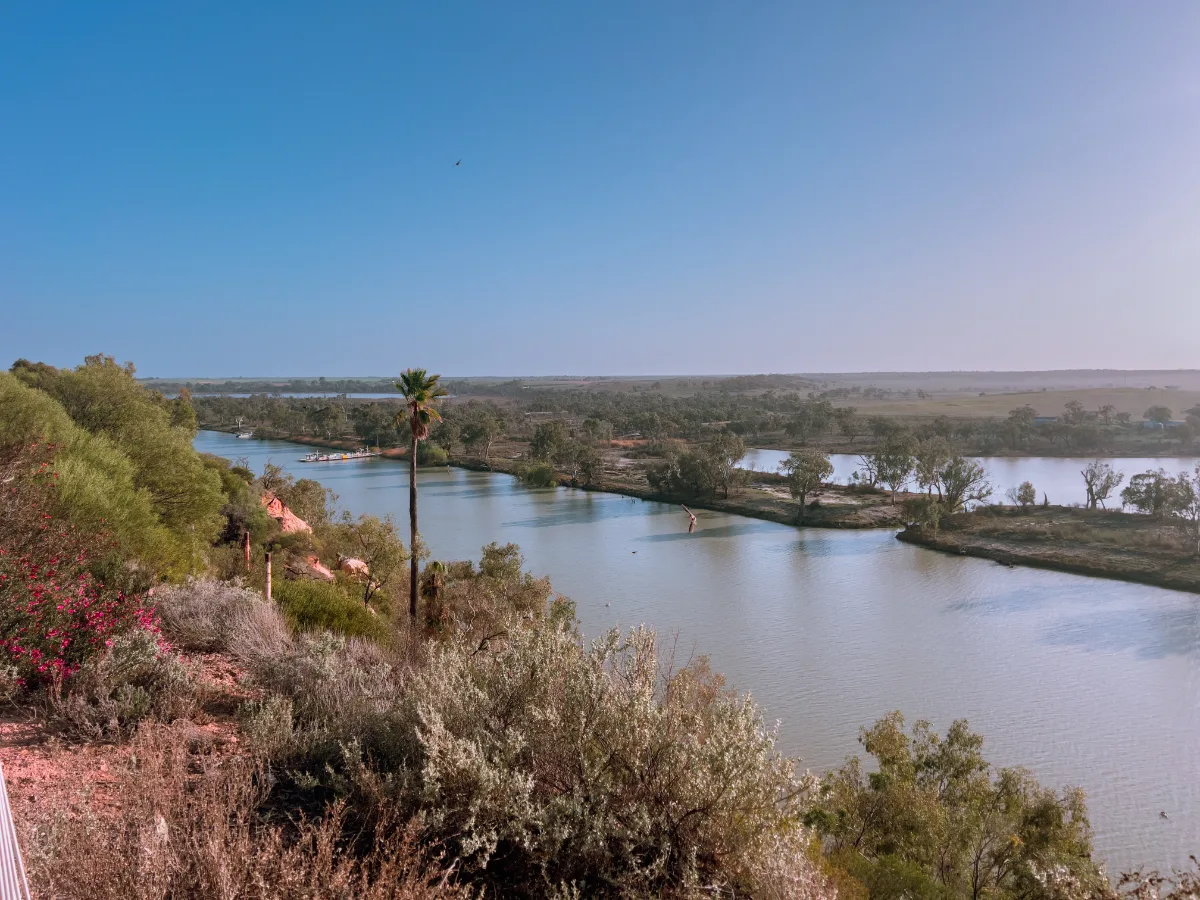 The mighty Murray River flowing through Waikerie, seen from the high vantage point.