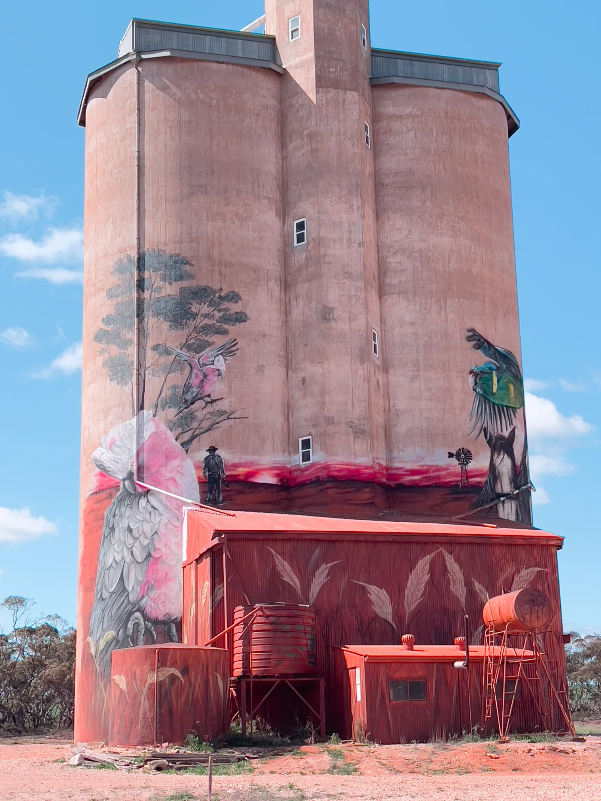 The full scope of the silos come into view, presenting a canvas filled with South Australian stories and wildlife.