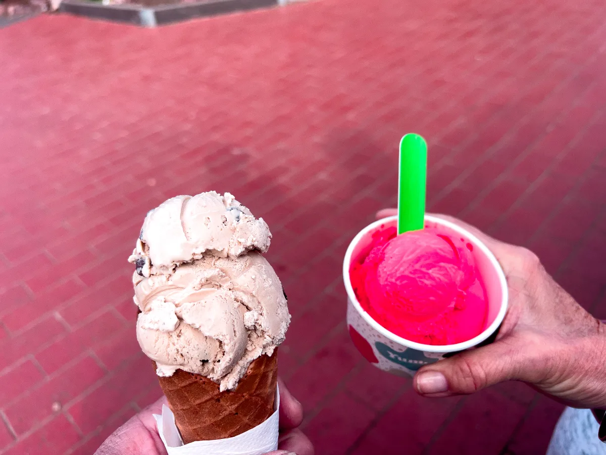 Our ice cream selection: a study in contrasts. And yes, they were both delicious.