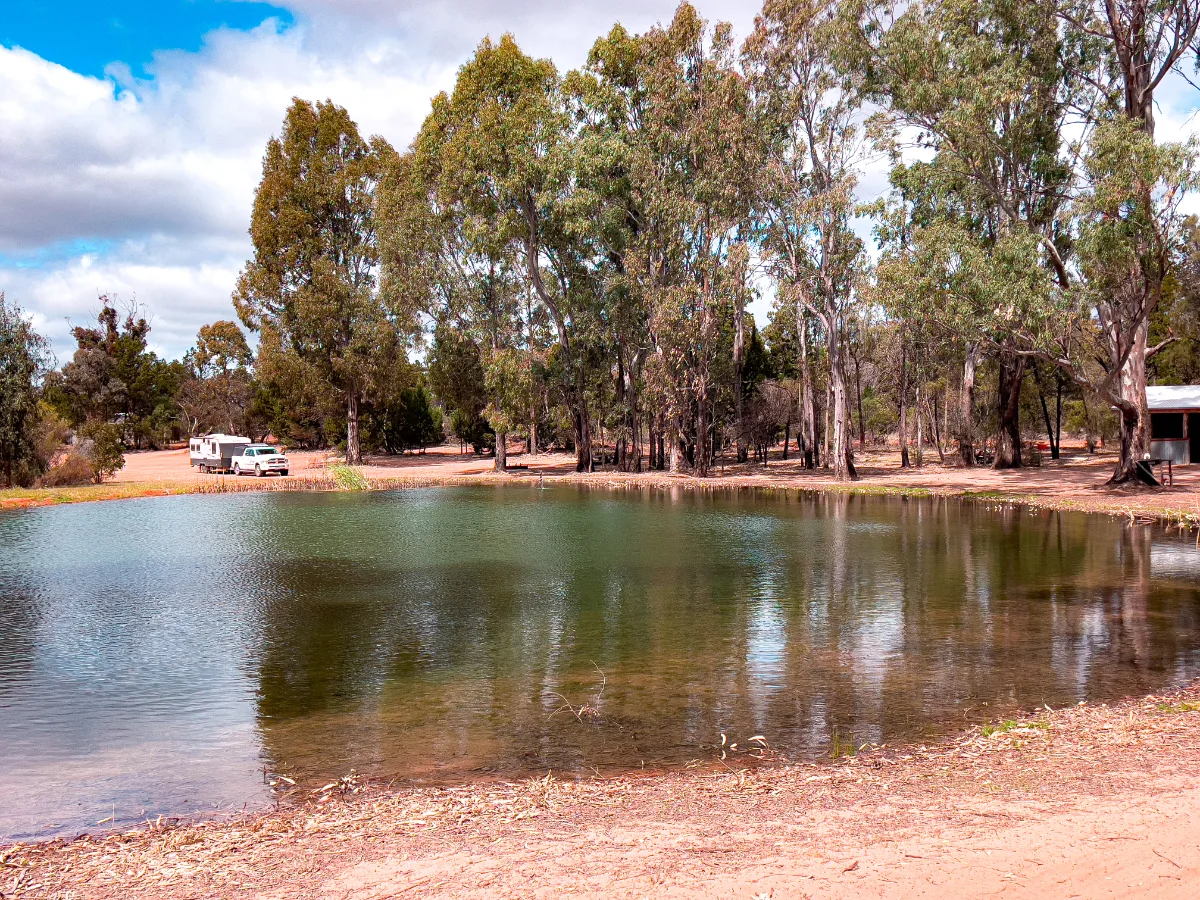 The surprisingly full dam reflects the bushland at our campsite near Ouyen.