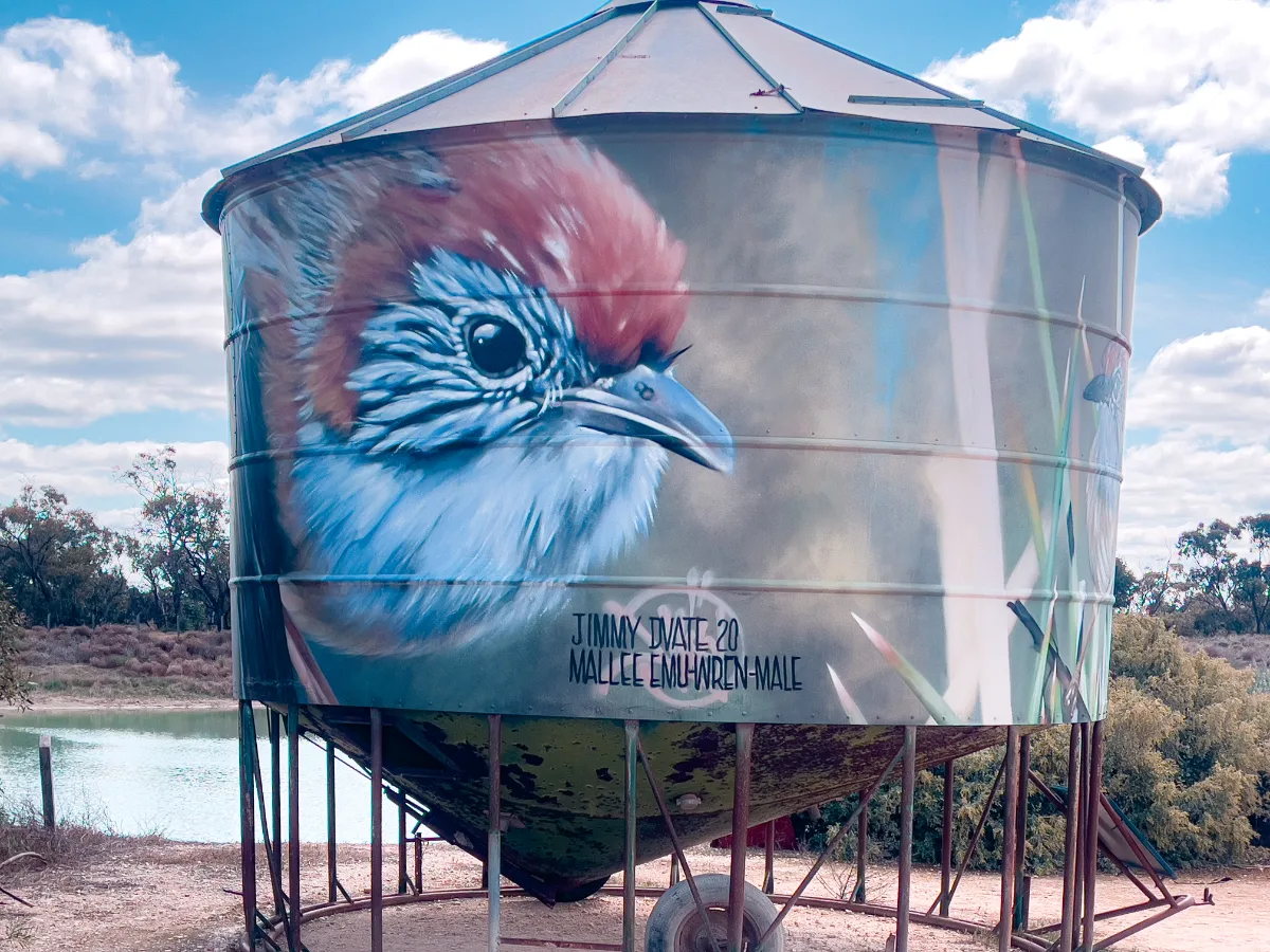 This water tank in Woomelang sports a fantastic portrait of a male Mallee Emu-wren, painted by the talented Jimmy Dvate.